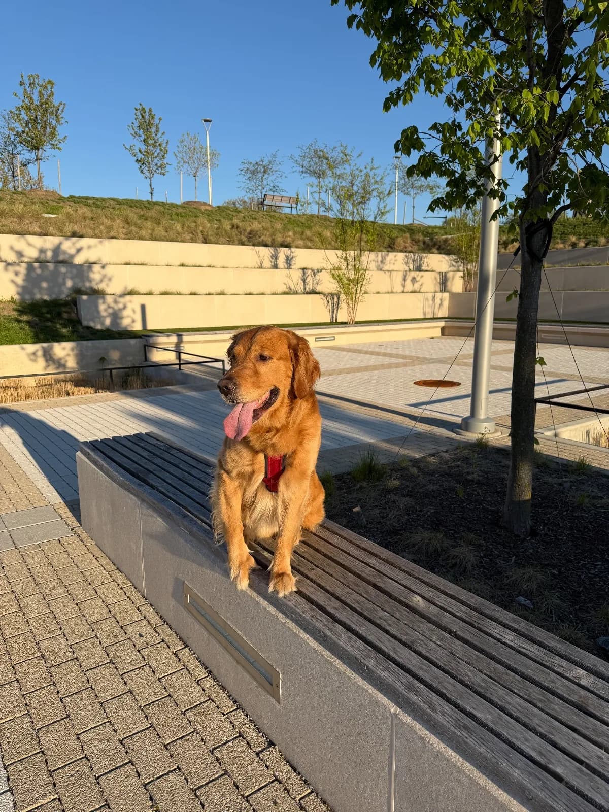 Bruce photo 2