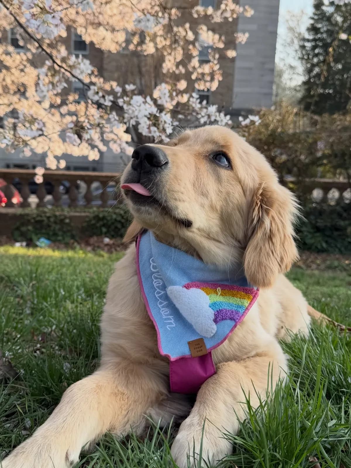 Meridian Hill Park - another photo