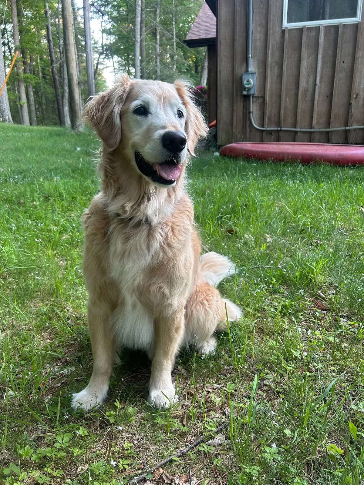 Murph photo 5