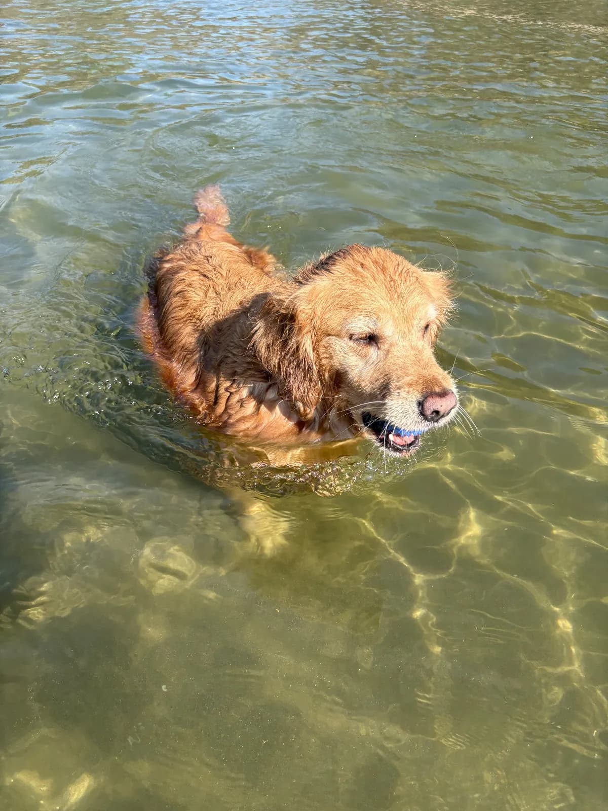 Ruby photo 6
