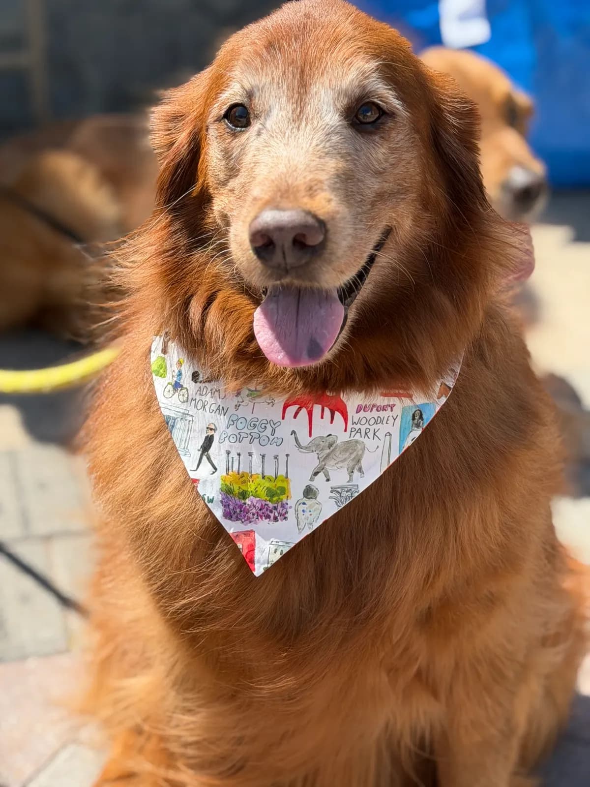 Maggie