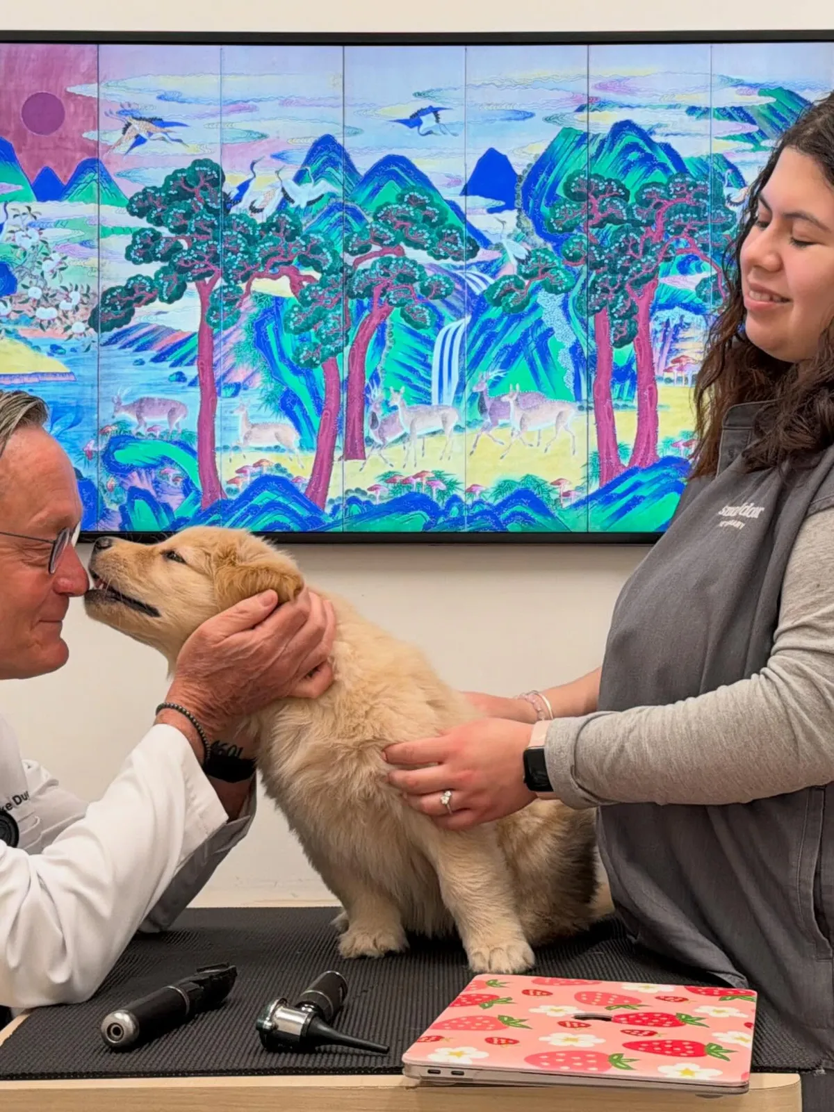 Small Door Veterinary - 14th Street