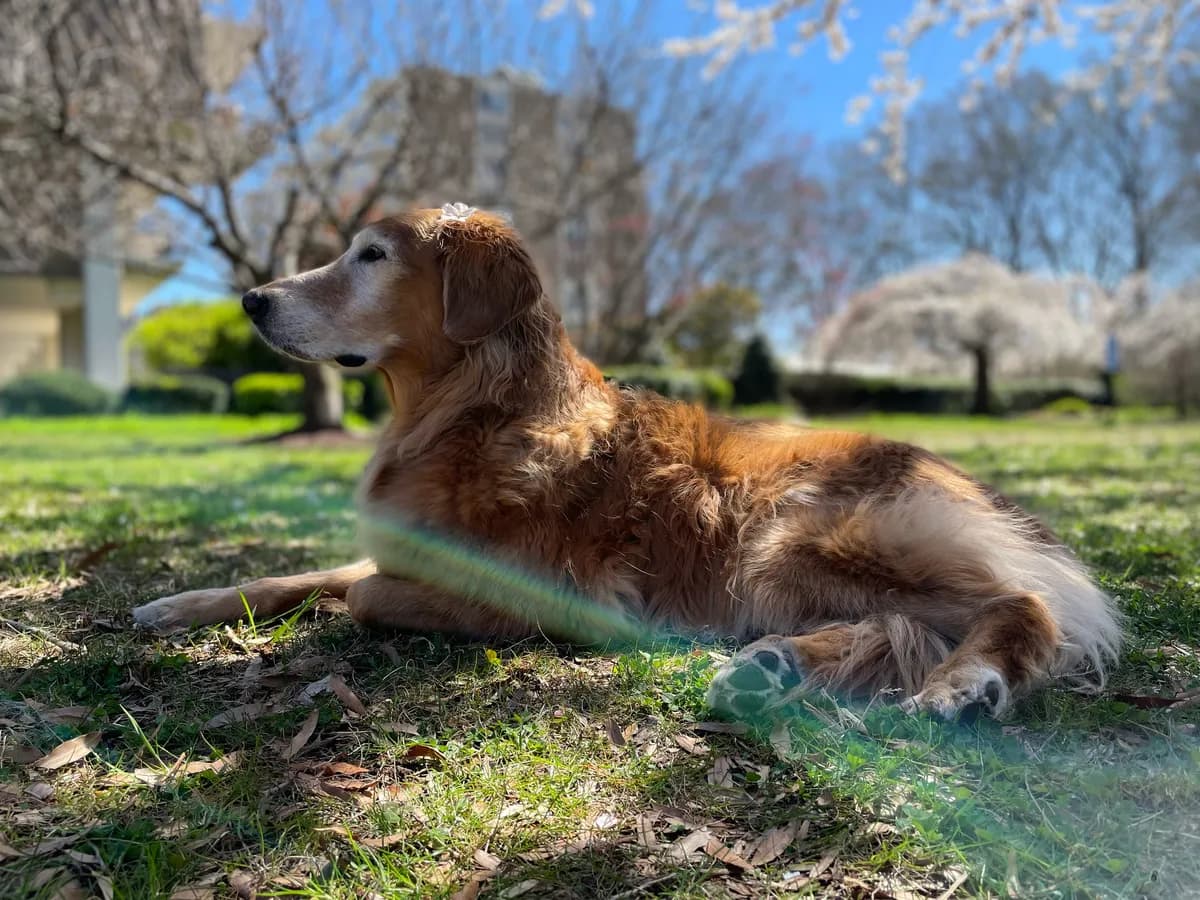 Titanic Memorial - another photo