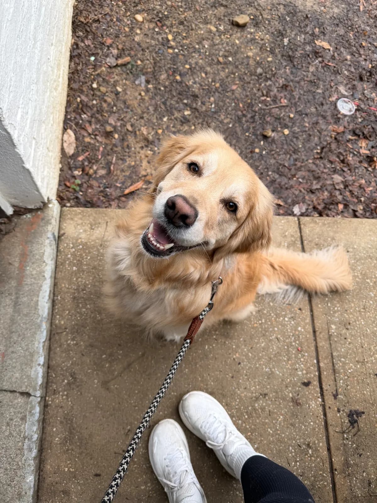 Gemma