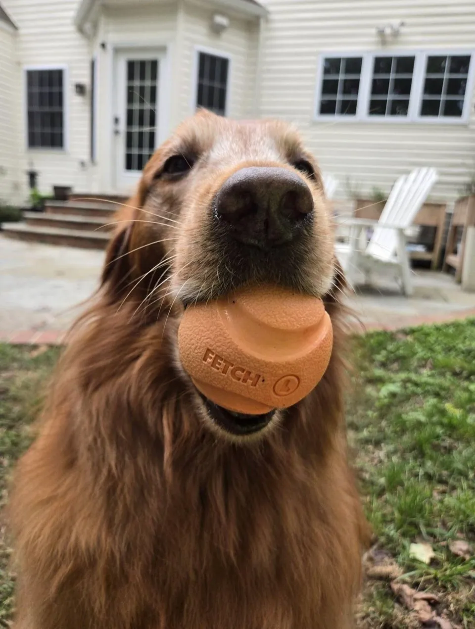Maggie photo 8