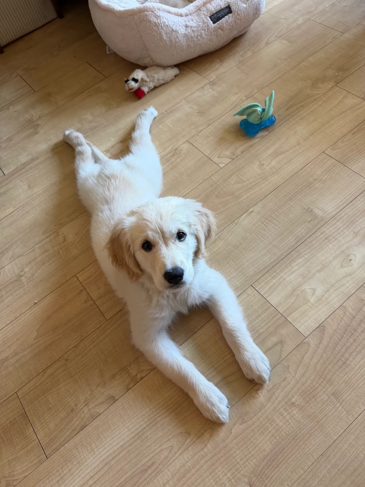 Luna